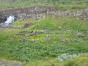B-694.JPG