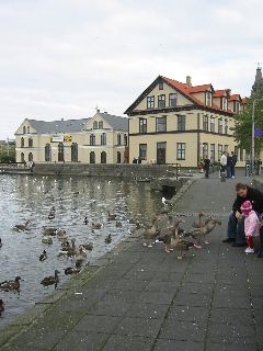 Teichufer im Zentrum von Reykjavík